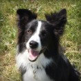 Lexie